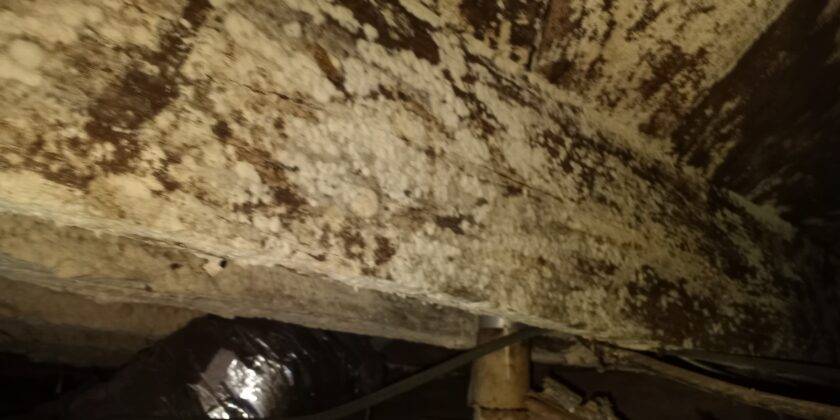 Why you should control moiture under your crawlspace