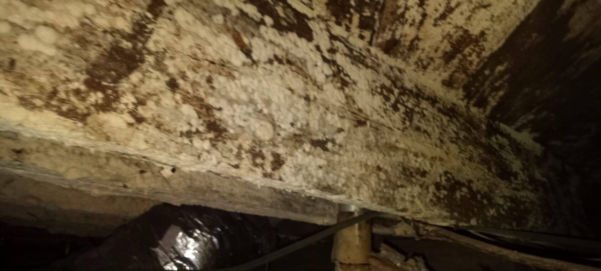 Why you should control moiture under your crawlspace
