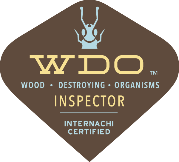 Wood destroying insect report