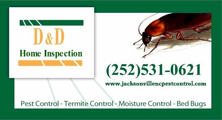 Affordable Termite & Pest Control – Jacksonville, NC