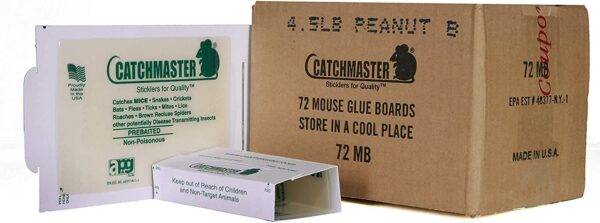 Catchmaster glue traps