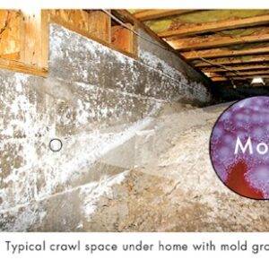 Crawlspace Moisture